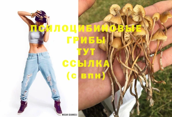 кокаин премиум Богородицк