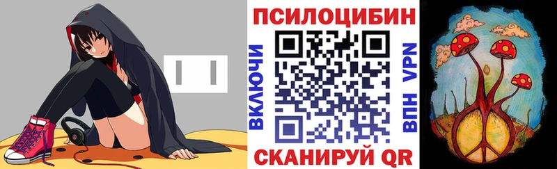 Купить где  Карабаш  Галлюциногенные грибы Psilocybe 